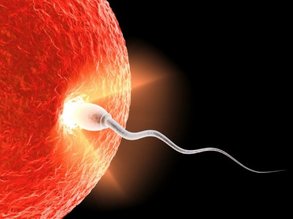 63% childless couples consulting them in prime reproductive age | Infertility experts